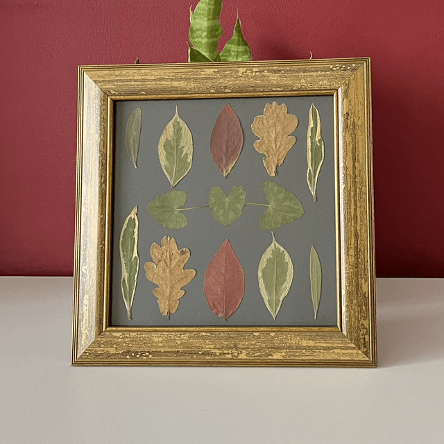 For the Love of Leaves