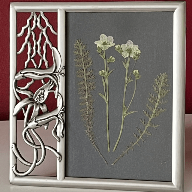 Saxifraga and Yarrow Leaves