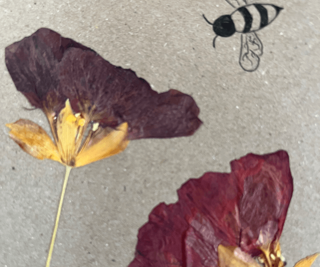 Happy Birthday - Nasturtium Card