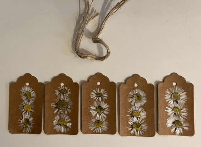 Daisy gift tags (pack of 5)