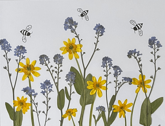 Forget-me-Not and Celandine Meadow 