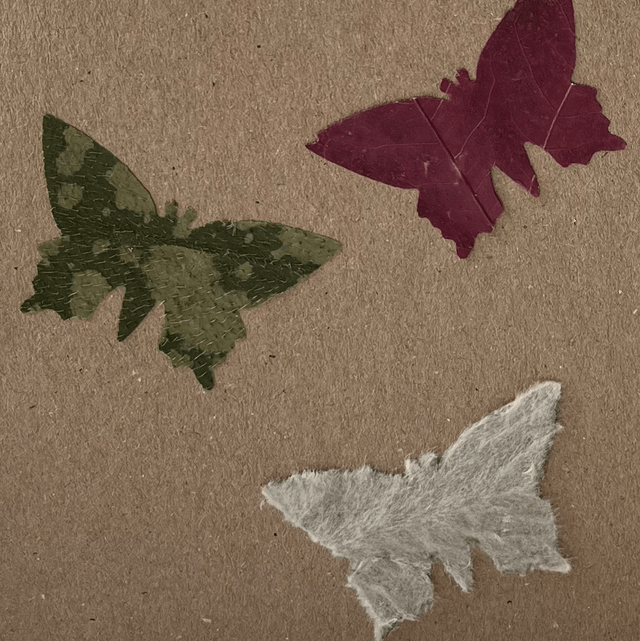 Happy Birthday - Butterfly Leaves Card