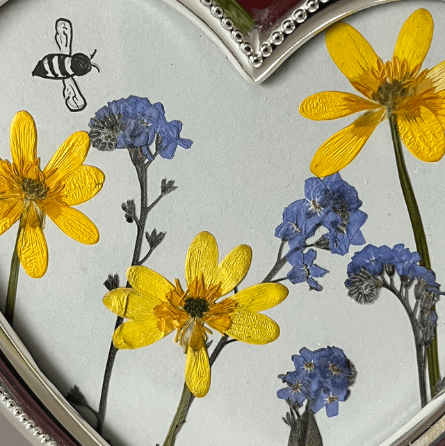 Meadow Hearts