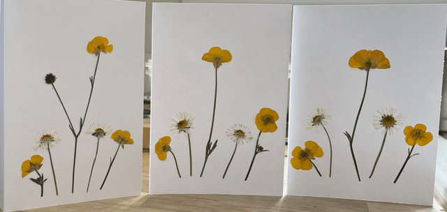 Buttercups and Daisies Greeting Card 03
