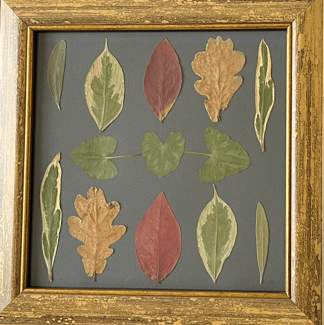 For the Love of Leaves