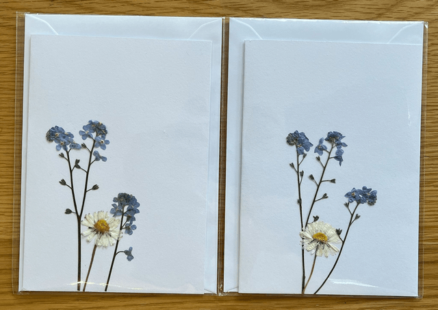 Daisy and Forget-me-nots Greeting Card