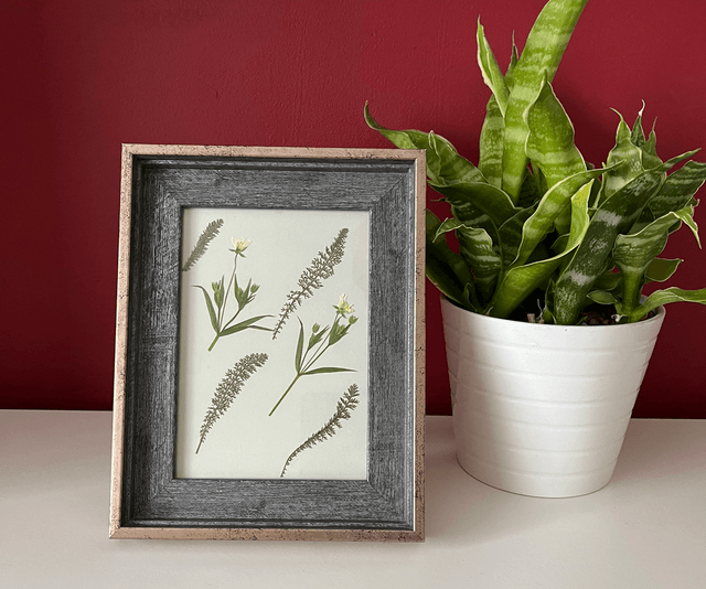 Greater Stitchwort and Yarrow Leaves