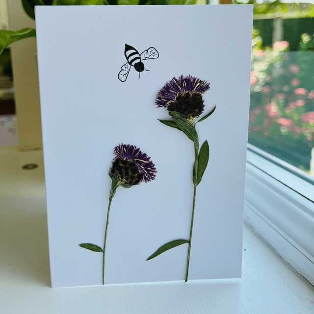 Knapweed and Bee Greeting Card
