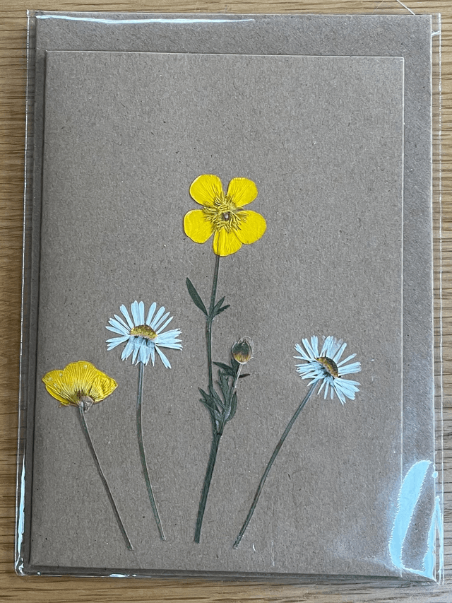 Buttercups and Daisies Greeting Card 02