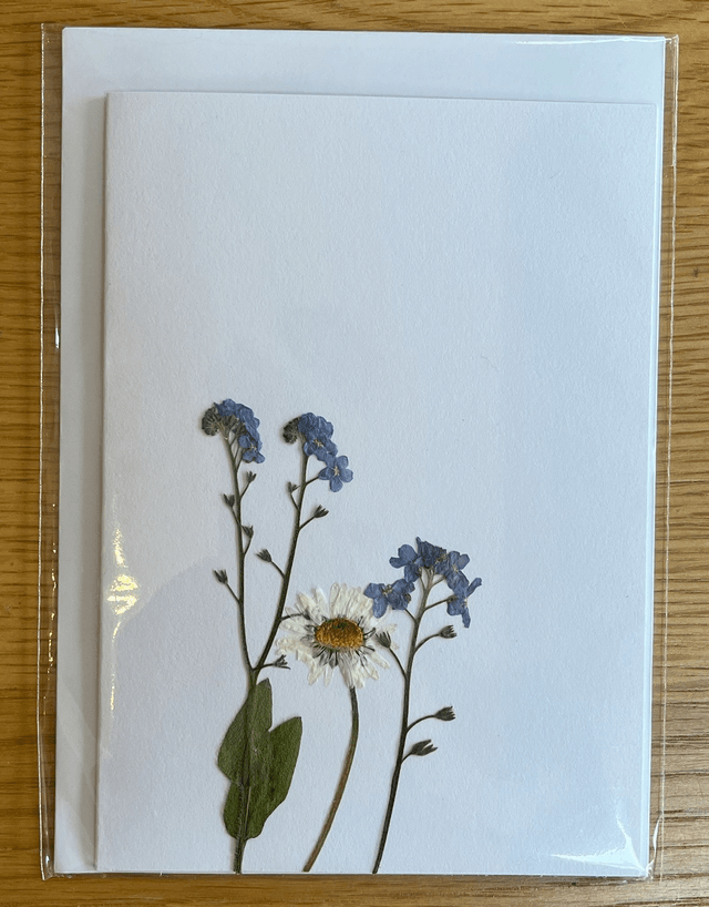 Daisy and Forget-me-nots Greeting Card