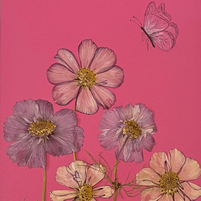 Cosmos and Butterfly 