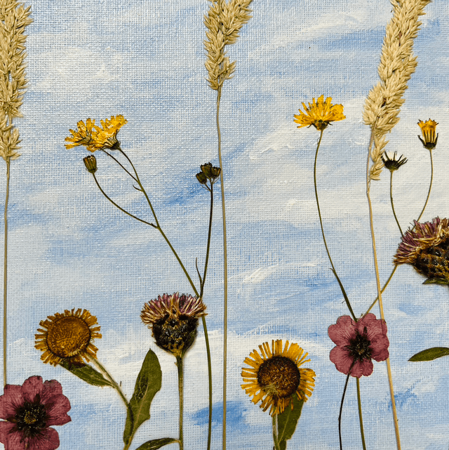 Meadow Sky
