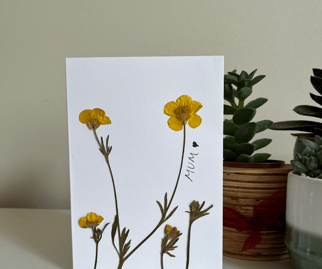 Buttercups for mum