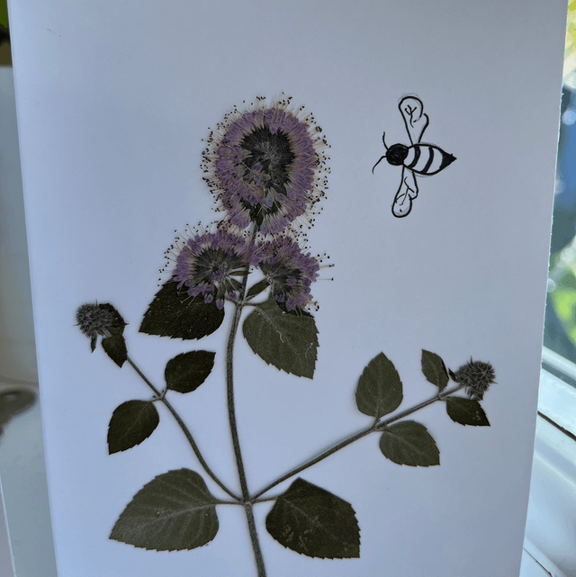 Wild Mint and Bee Greeting Card