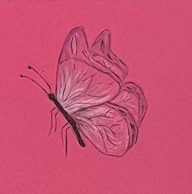 Cosmos and Butterfly 