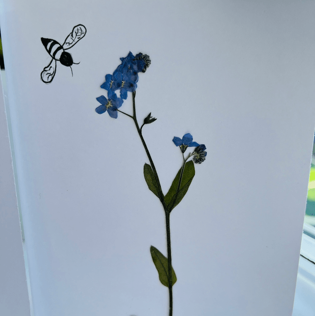 Forget-me-nots and Bee Greeting Card