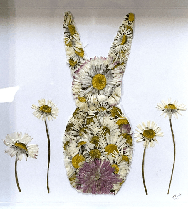 Daisies - Bunny
