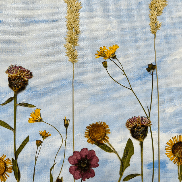 Meadow Sky