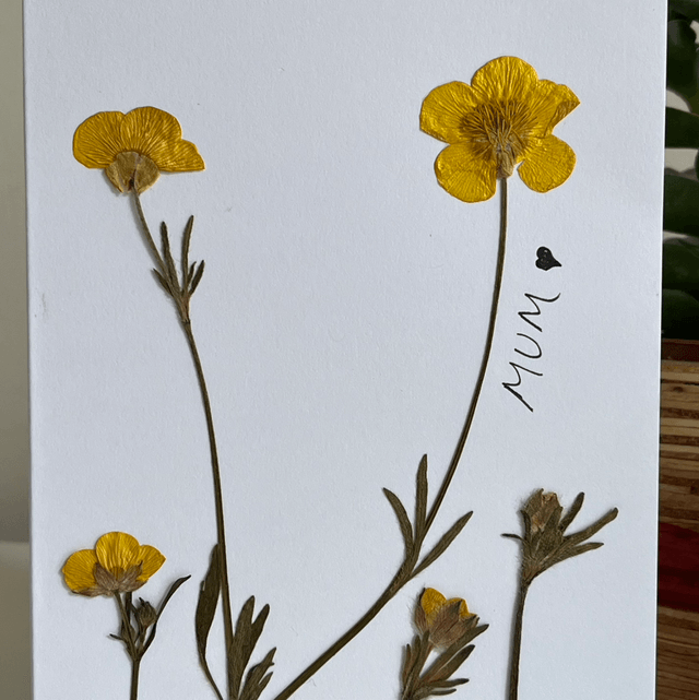 Buttercups for mum