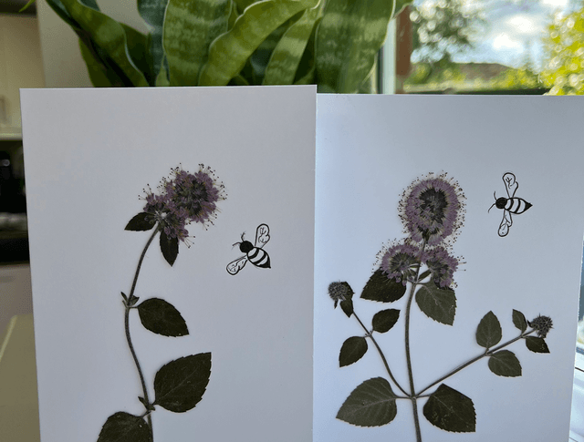 Wild Mint and Bee Greeting Card