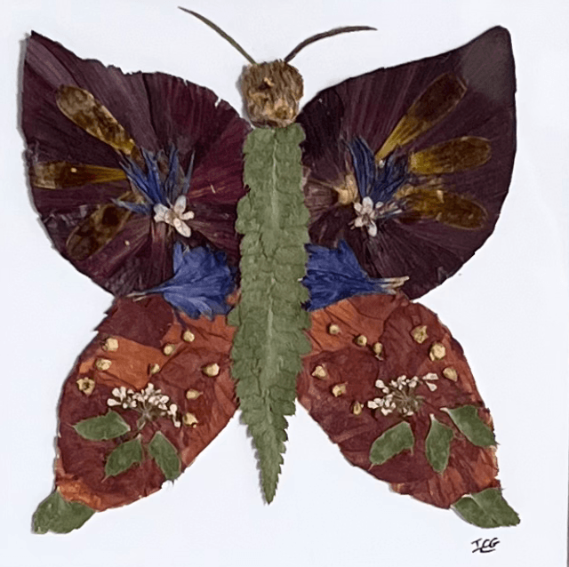 Butterfly Pressed Flower Framed Art