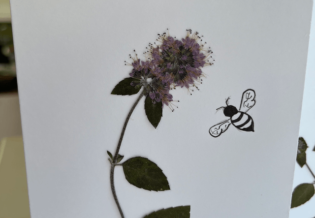 Wild Mint and Bee Greeting Card