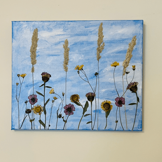 Meadow Sky