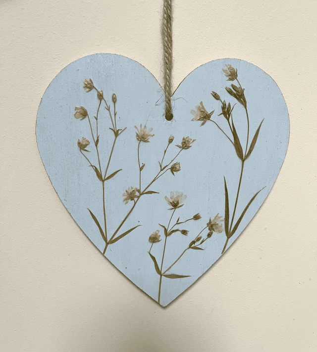 A Heart of Stitchwort