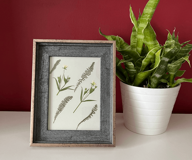 Greater Stitchwort and Yarrow Leaves