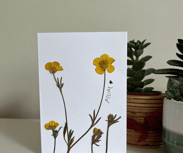 Buttercups for mum