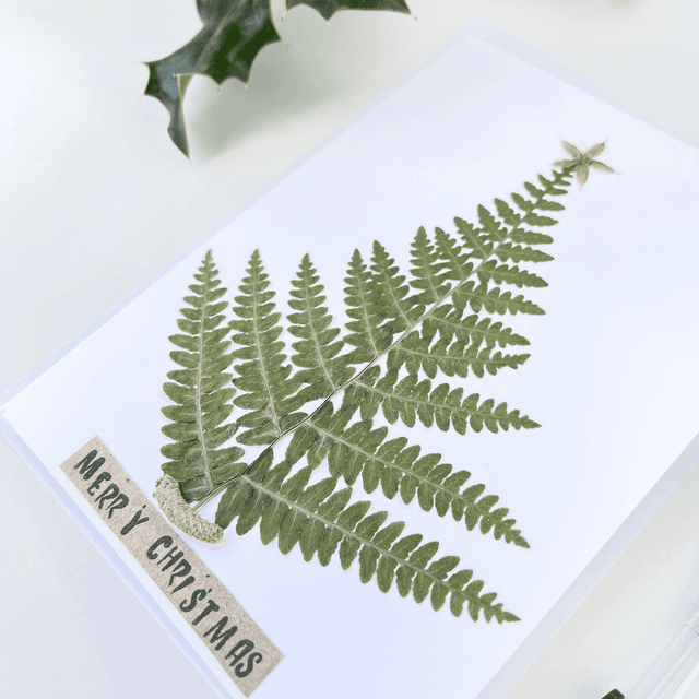 Christmas Card Tree
